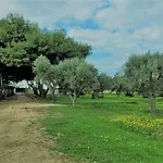 Laura Holiday home Bari
