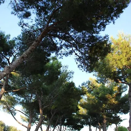Holiday home Laura Bari