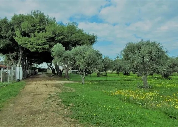 Laura Dom wakacyjny Bari